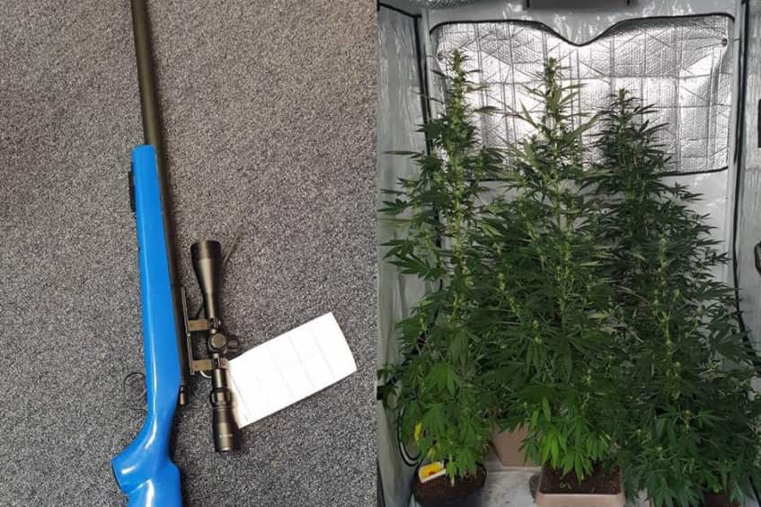 The air rifle and cannabis plants were seized by police.